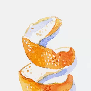 Illustration of spiral of orange peel