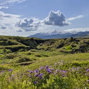 Snaefellsjoekull volcano, Buoir or Faskruosfjoerour, Snaefellsnes, Snaefellsness, Iceland, Europe