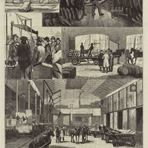 The American Meat Supply, Sketches at Liverpool (engraving)