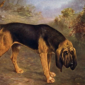 The Bloodhound Champion Hengist (colour litho)