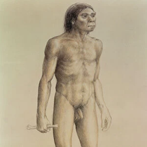Homo erectus (pencil on paper)