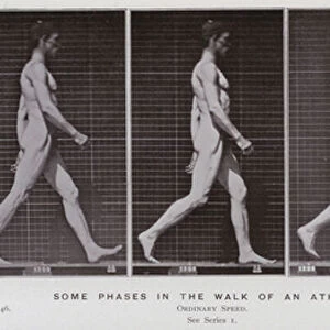 The Human Figure in Motion: Some phases in the walk of an athlete (b / w photo)