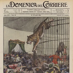 Lioness escaping from the open cage at the top during a performance, in Burgundy... (colour litho)