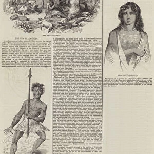 The New Zealanders (engraving)
