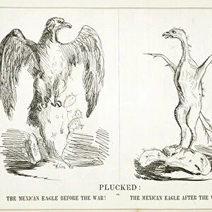 Plucked: or, The Mexican Eagle Before the War! The Mexican Eagle After the War
