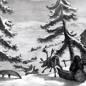 Reindeer-drawn sledges, from Winter Sketches in Lapland by Brooke