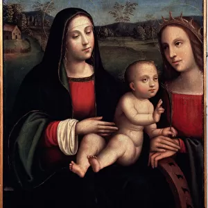 "Vierge a l enfant avec sainte Catherine d Alexandrie"Peinture de Francesco Raibolini dit il Francia (1450-1518) Musee de l ermitage saint Petersbourg