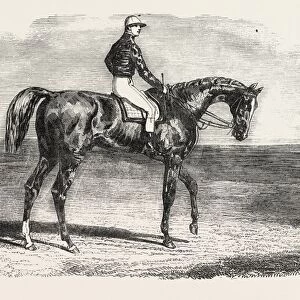 Ascot Races: Woolwich, the Winner of the Emperors Vase; Little Jack Made All