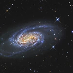 NGC 2903 is a barred spiral galaxy in the constellation of Leo