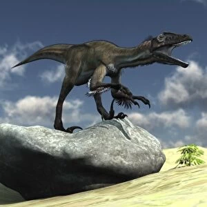 Utahraptor bellows a loud roar while standing atop a rock