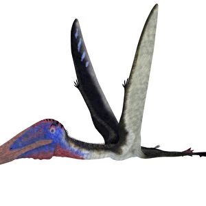 Zhejiangopterus pterosaur