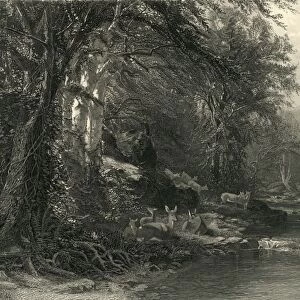 The Adirondack Woods, 1874. Creator: Robert Hinshelwood