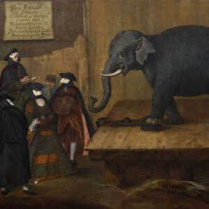 The Elephant, 1774