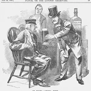 An Extra Liberal Dose, 1885