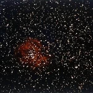 Rosette Nebula in Monoceros. Creator: NASA