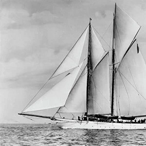 The schooner Pampa. Creator: Kirk & Sons of Cowes