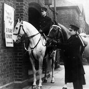 Police horses at an X-ray unit. Hobsons choice wonders what it is all about when