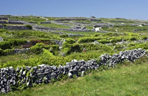 Ireland Prints: Ancient limestone fields