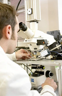 Biologist using a microscope