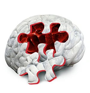 Psychiatry Prints: Brain function, conceptual