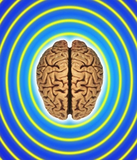Brainwaves