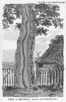 Electricity Prints: Engraving of a tree split by lightning