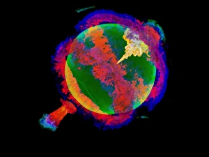 Exploding white dwarf, 3D simulation