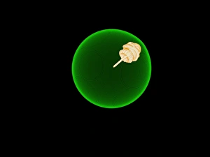 Exploding white dwarf, 3D simulation