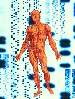 Genetic code