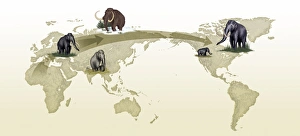 Extinction Prints: Mammoth evolutionary migration, artwork