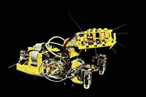 Whisker Prints: SCRATCHbot, touch sensitive robot