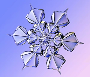 Snowflake, light micrograph Snowflake, light micrograph