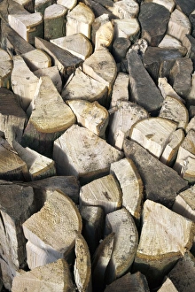 Logs Prints: Split logs