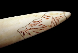 Stone Age artefact, Magdalenian culture Stone Age artefact, Magdalenian culture