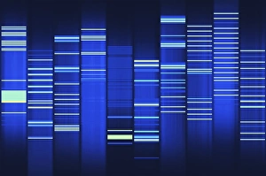 Website source code visualisation